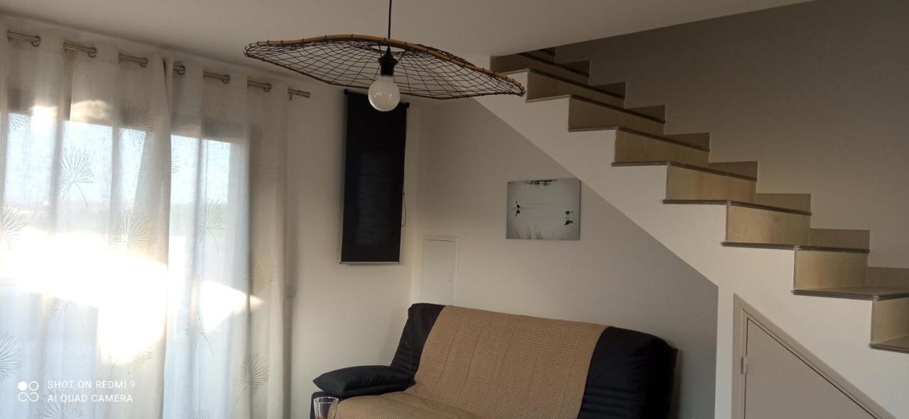 Saint-Laurent-dʼAigouze Appartement Neuf Et Moderne Au Coeur De La Camargue מראה חיצוני תמונה